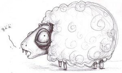 Detail návrhu ovce