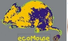 ecoMouse