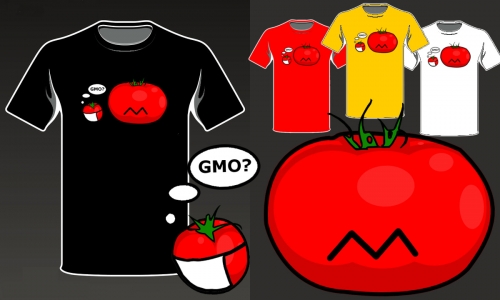 Detail návrhu GMO?