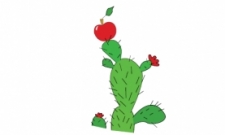 kaktus a jablko