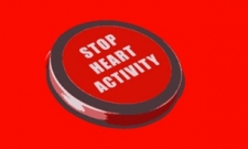 STOP HEART ACTIVITY