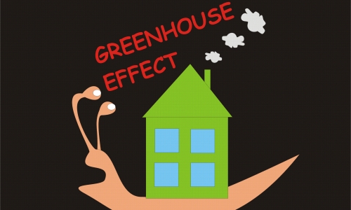 Detail návrhu Greenhouse effect