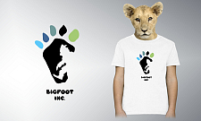 Bigfoot Inc.