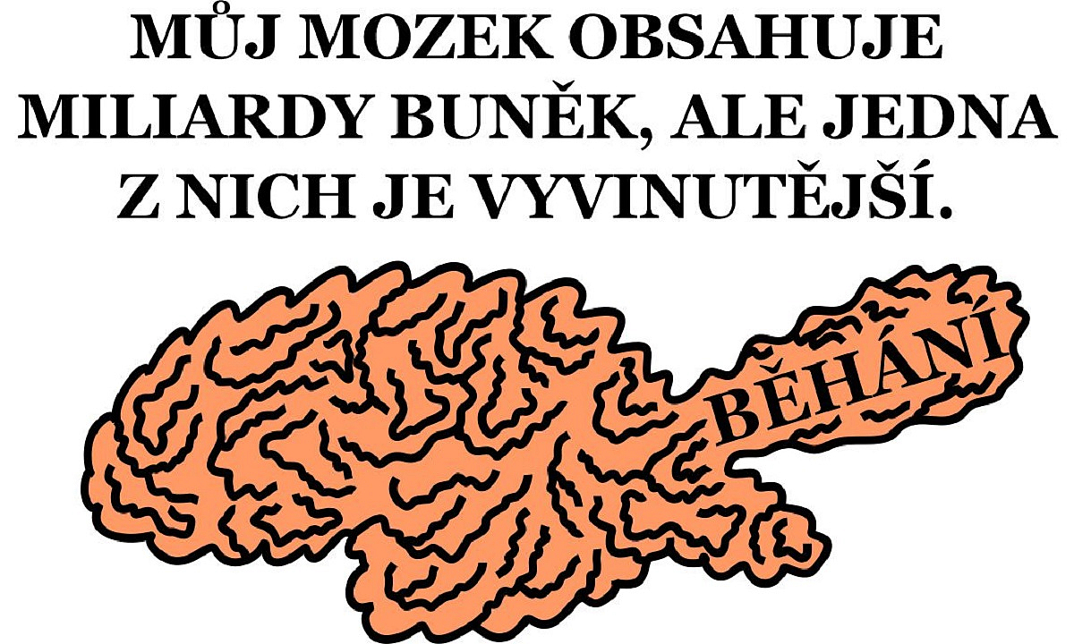 Detail návrhu Mozek  - běhání