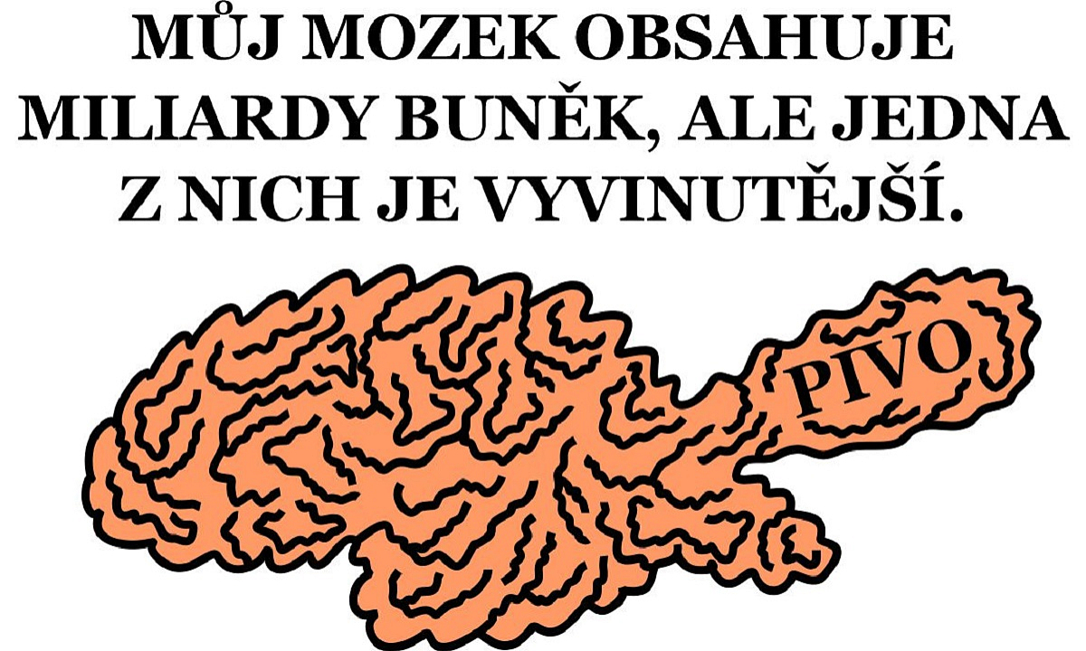 Detail návrhu Mozek - pivo