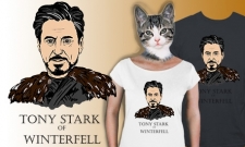 Tony Stark of Winterfell