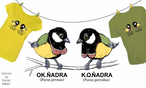 Detail návrhu Koňadra
