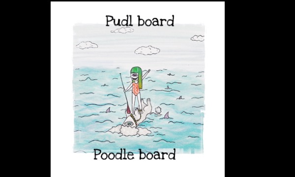 Detail návrhu Poodle board